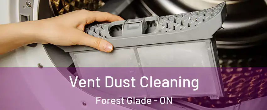  Vent Dust Cleaning Forest Glade - ON