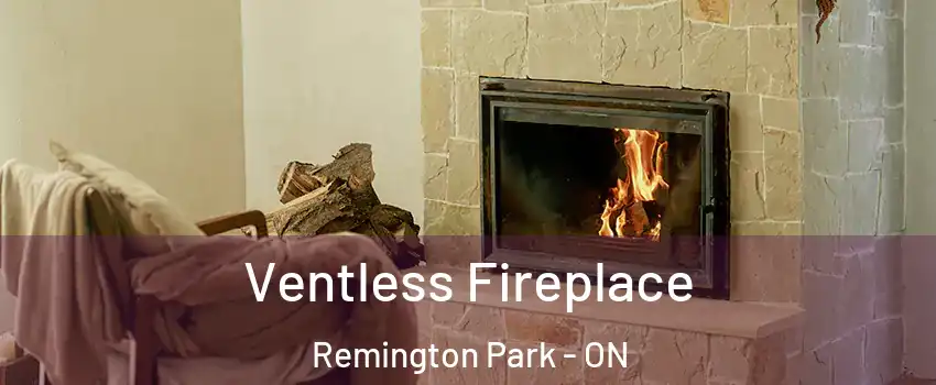 Ventless Fireplace Remington Park - ON