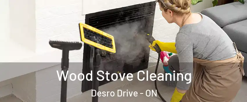  Wood Stove Cleaning Desro Drive - ON