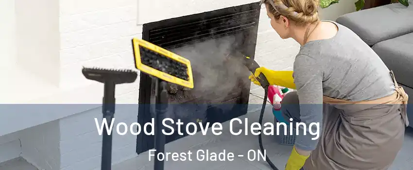  Wood Stove Cleaning Forest Glade - ON