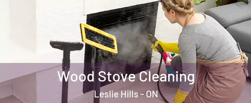  Wood Stove Cleaning Leslie Hills - ON
